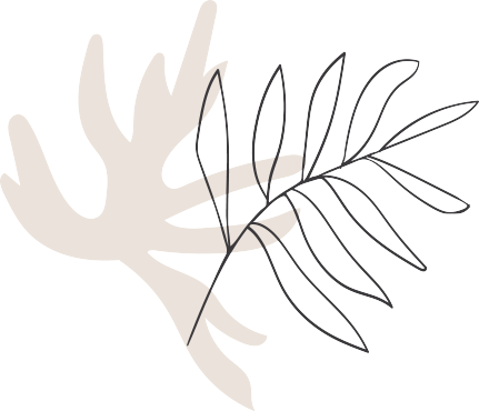 Contact Skin-Centric